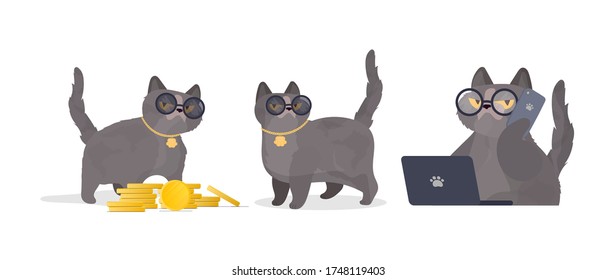 Set of funny cats in glasses. Cat sticker with a serious look. Good for stickers, t-shirts and postcards. Isolated. Vector.