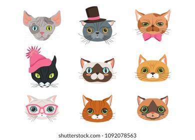 Set of funny cats heads of different breeds, colorful character vector Illustrations