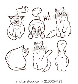 A set of funny cats. Sketch on a white background. Design element