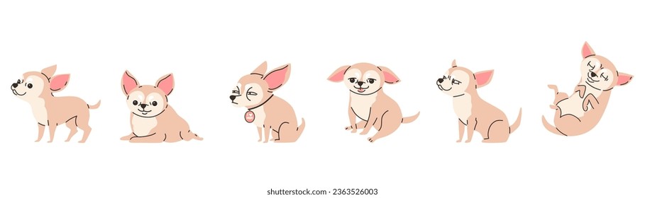 Set of funny chihuahua dogs in different poses flat style, vector illustration isolated on white background. Decorative design elements collection, cute thoroughbred pet, domestic animal