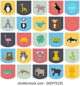 Set of funny color flat animals icons