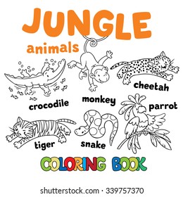 Set of funny crocodile, tiger, snake, cheetah, parron and monkey. Coloring book or coloring pictures of jungle animals
