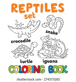 Set of funny crocodile, turtle, snake and iguana. Coloring book or coloring pictures
