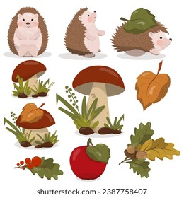 Set with funny curious hedgehogs with a red apple and an autumn leaf, and a wreath of autumn leaves, acorns and berries. Vector illustration.