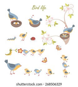 Set of funny cute birds, babies and insects. Vector background.