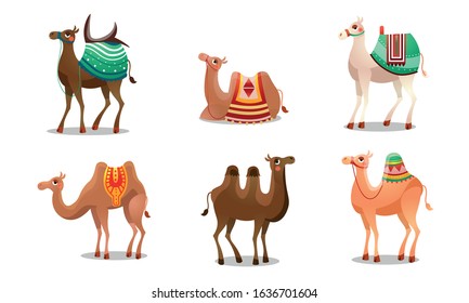 1,320 Camel blanket Images, Stock Photos & Vectors | Shutterstock