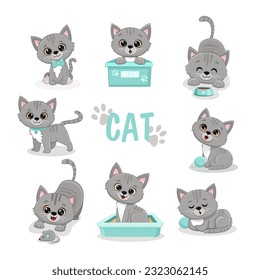 Set of funny cute cats in different poses in cartoon style. Gray kitten. Vector illustration 