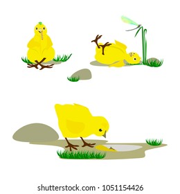 Set of funny cute chickens. Vector illustration.