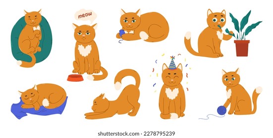 Set funny cute ginger cats on white background. Flat vector illustration. Domestic animal lifestyle. For print, stickers, card, poster