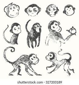 Set of funny cute monkeys, monkey year, Chinese 2016 symbol, vector illustration, hand drawn, sketch