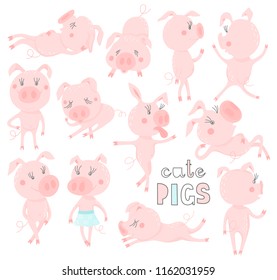 Set of funny and cute pigs. Symbol of the year in the Chinese calendar 2019. Piggy cartoon character. Vector illustration.