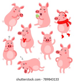 Set of funny and cute pigs. Vector