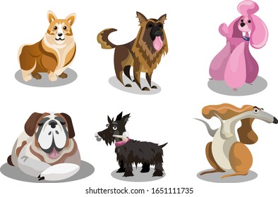 Set of funny cute various dogs breeds vector illustration