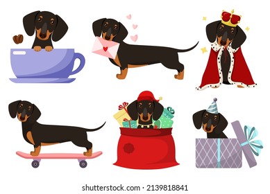 A set of funny dachshunds on a white background. Cartoon design.
