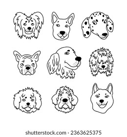 Set of funny dog heads in doodle style. Cute faces of pets in outline style. Vector.