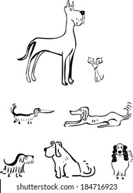 Set of funny dogs