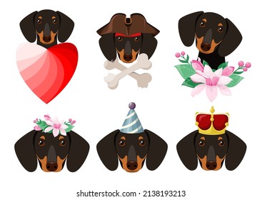 A set of funny dogs on a white background. Dachshund breed. Cartoon design.
