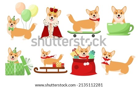 A set of funny dogs on a white background. Corgi. Cartoon design.
