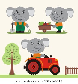 Set of funny elephant farmer is working on farm: with shovel, wheelbarrow with vegetables, in tractor. 