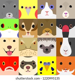 set of funny farm animals face