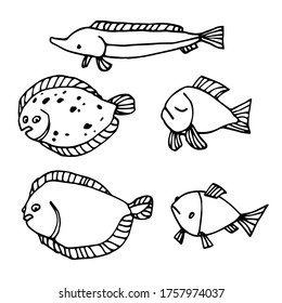 set of funny fishes, sturgeon, flounder, for decorative ornaments & patterns, vector illustration with black contour lines isolated on white background in doodle & hand drawn style