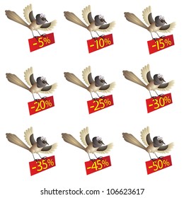 Set of funny flying birds with information about discount