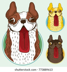 Set of funny French bulldog dogs, different colors and same style, in round frame. Stickers with symbols of zodiac sign of 2018 new year. Vector illustration