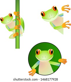 Set of funny frog cartoon