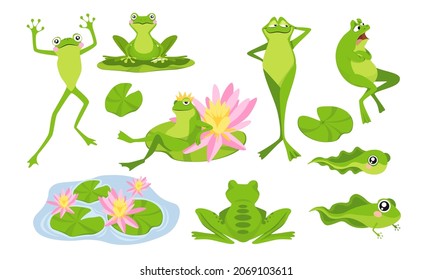 Set Funny Frogs Cartoon Characters, Isolated Personages Sitting on Water Lily, Little Fry and Adult Animals. Cute Toads Living on Pond, Fairy Tale Book or Game Mascots. Vector Illustration, Clip Art