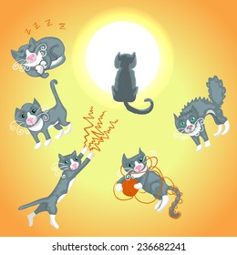 Set of funny gray cats in different situations