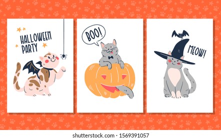 Set of funny Halloween cards and stickers with playful cats in witch hat, hiding in big pumpkin and playing with spider isolated on white background.