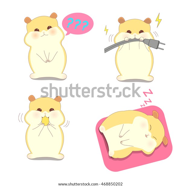 hamster cute animals