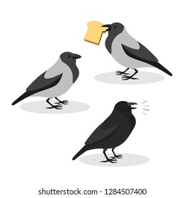 Set of funny happy cartoon crows caws and stealing bread