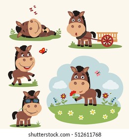 Set of funny horse in different poses on summer meadow with flowers.