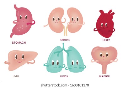 Set of funny human organs in cartoon style. Characters for anatomy design