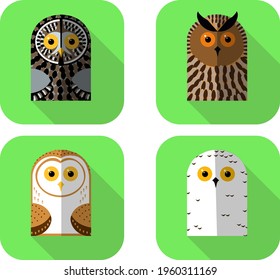 a set of funny icons with stylized owls applications: barn owl, tawny owl, snowy owl, eagle owl on a green background with a shadow
