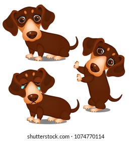 Set of funny images with scenes from the life of animated brown dog isolated on a white background. Vector cartoon close-up illustration.