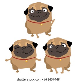 Set of funny images with scenes from the life of funny pets dog breed pug isolated on white background. Vector cartoon close-up illustration.
