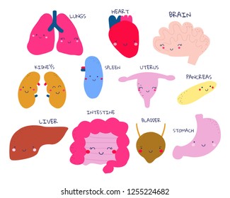 Set of funny internal organs. Medical graphic for kids. Vector hand drawn illustration.