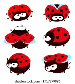 Set of funny ladybugs on a white background. Collection of cute insects in cartoon style. EPS10 vector illustration