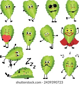 Conjunto de mascota de lechuga divertida