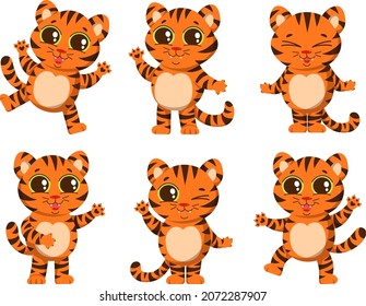 Set of funny little tiger in different