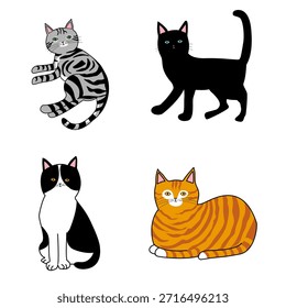 Conjunto de gatos de aspecto divertido. Gato atigrado gris, negro, esmoquin y naranja