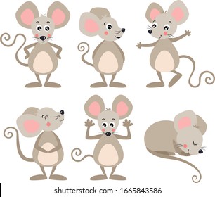 Set of funny mice in different positions