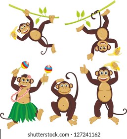 Set funny monkeys set