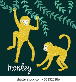 Set of funny monkeys in different poses. Vector hand drawn illustration.