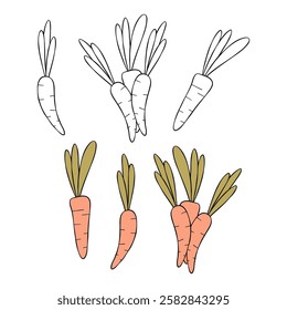 Set of funny outline carrots. Good for stickers, menu, banners, postcards, patterns