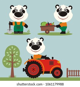 Set of funny panda bear farmer is working on farm: with shovel, with wheelbarrow vegetables, in tractor.