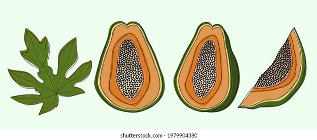 Set of funny papaya and leaves