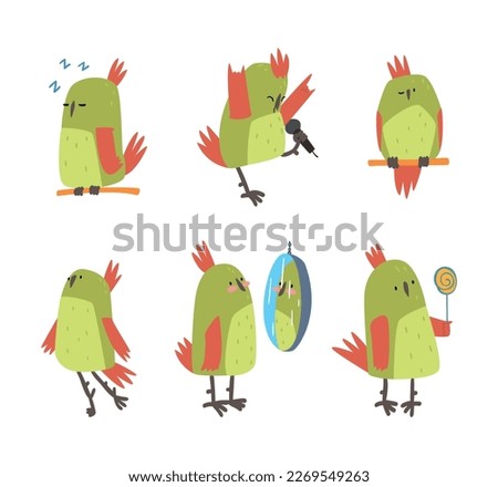 Set of funny parrot birds. Cute bright parrot pet character cartoon vector illustration